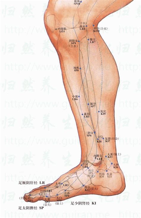 富溜穴|復溜穴位置 